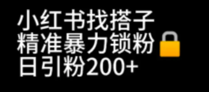 小红书找搭子暴力精准锁粉+引流日引200+精准粉-亿点资源网