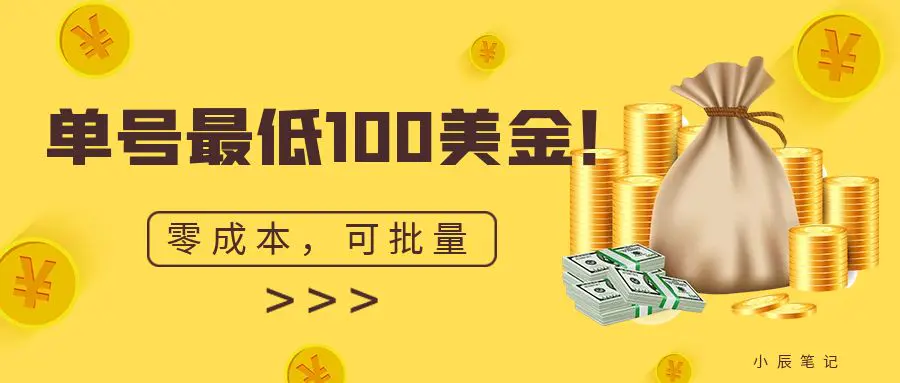 单号最低100美金，零成本，小白无脑操作。可复制，可扩大。-亿点资源网